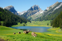 Sämtisersee