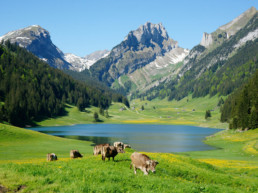 Sämtisersee