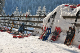 Schneeschuhlaufen im Berggasthaus Plattenbödeli