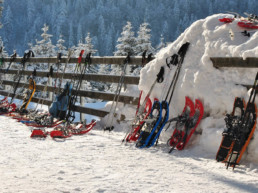 Schneeschuhlaufen im Berggasthaus Plattenbödeli